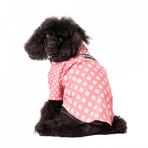 Рубашка для собак M розовый (унисекс) 2
