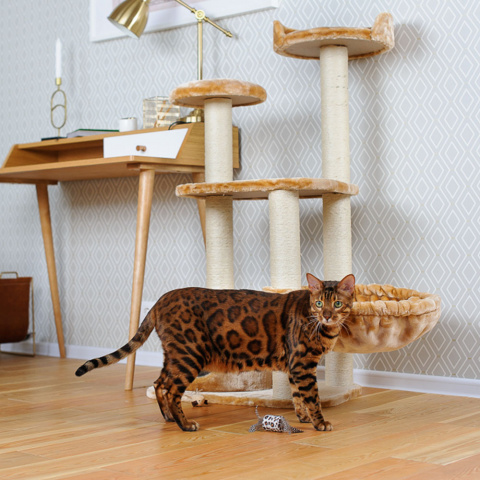 Спально-игровой комплекс для кошек с домиком и когтеточкой Gloria многоуровневый с лежаками и площадкой, бежевый, 60x40x116 см