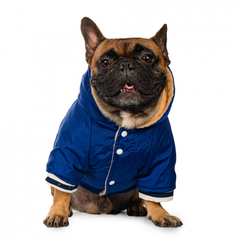 Куртка с капюшоном для собак XS синий (унисекс) 1