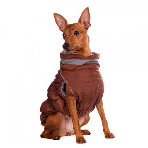 Куртка на молнии для собак Французский бульдог 2XL коричневый (унисекс) 3