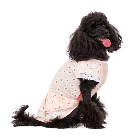 Платье для собак с ромашками XL розовый (девочка)