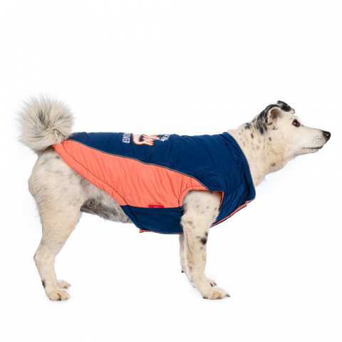Куртка для собак L синий (унисекс)