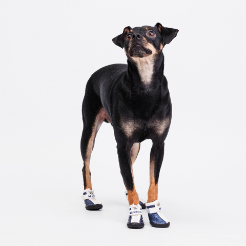 Ботинки для собак, S, синие (унисекс) 1