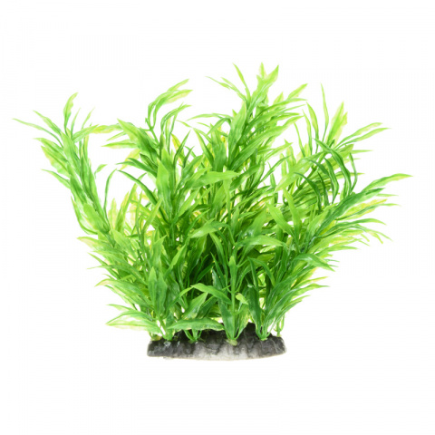 Растение зеленое 10*8*15см