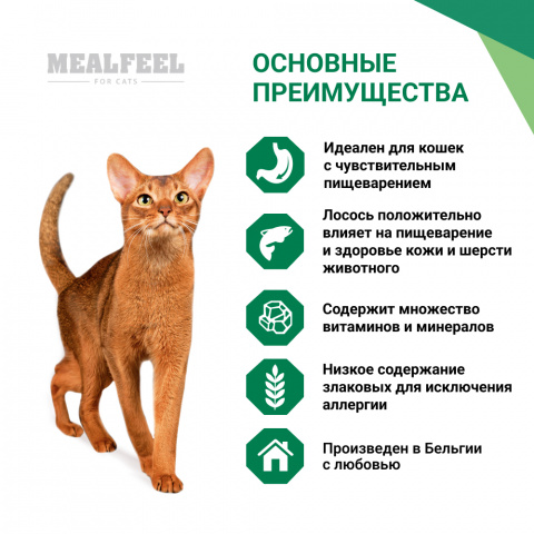 Functional Nutrition Digest Sensitive Корм для кошек с чувствительным пищеварением старше 1 года, с индейкой и лососем, 400 гр. 1