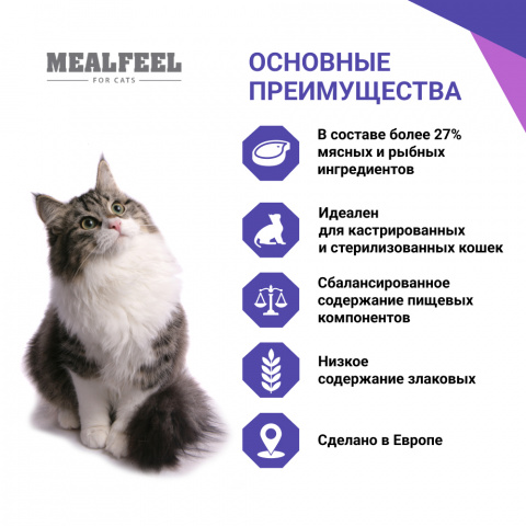 Functional Nutrition Sterilized Light Влажный корм (пауч) для стерилизованных кошек Контроль веса, с кусочками говядины в соусе, 100 гр. 1
