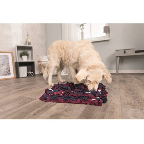 Развивающий коврик для игр с собакой Dog Activity, 50х34 см 2