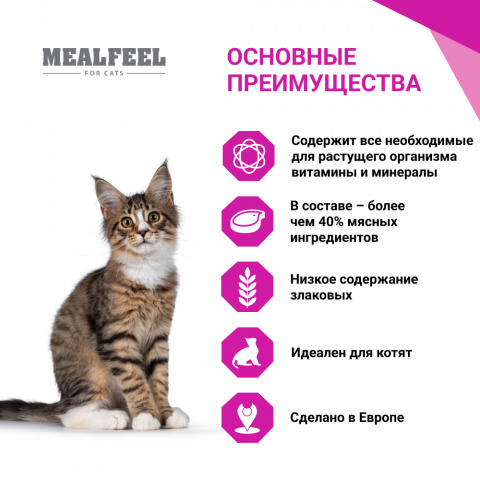 Functional Nutrition Junior Влажный корм (пауч) для котят, с кусочками ягненка в соусе, 100 гр. 1