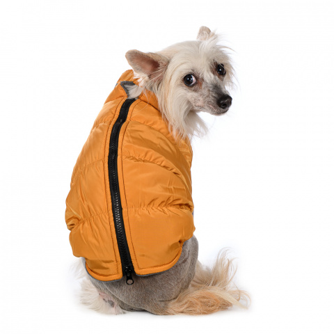 Куртка на молнии для собак L желтый (унисекс) 2
