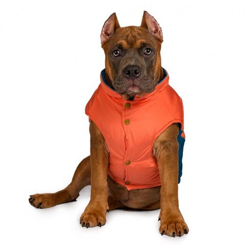 Куртка для собак L оранжевый (унисекс) 1
