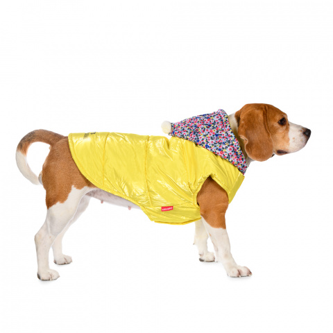 Куртка с капюшоном для собак 3XL желтый (унисекс) 1