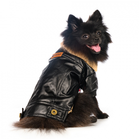 Куртка из кожзама для собак M черный (унисекс) 1