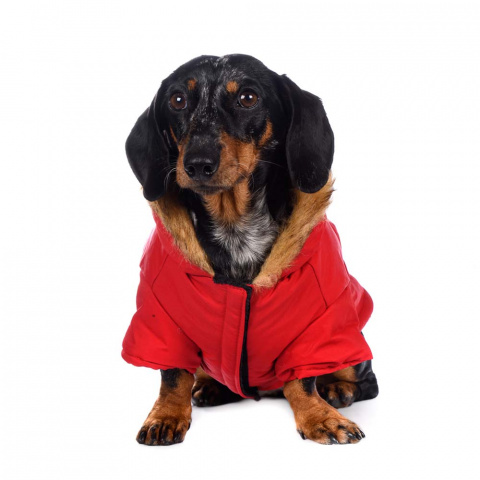 Куртка приталенная с меховым капюшоном для собак XS красный (унисекс) 1