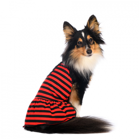 Платье XS для собак в полоску красное 3