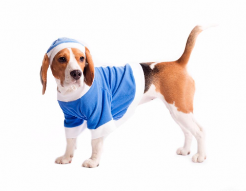 Пуловер для собак Снегурочка M голубой (унисекс)