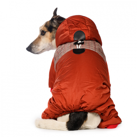 Комбинезон с капюшоном для собак XL красный (девочка)