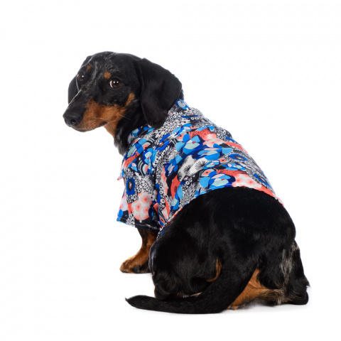 Рубашка для собак с узорами синяя L 6