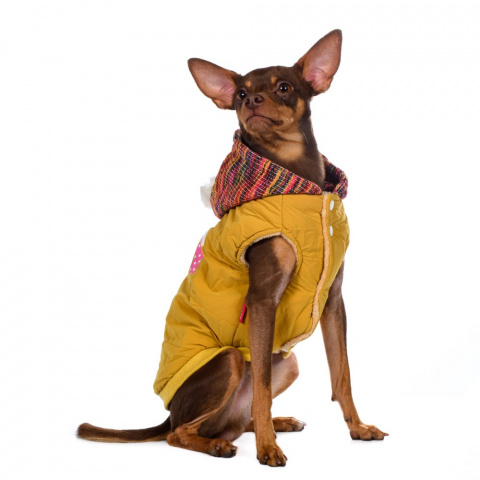 Куртка с капюшоном для собак M желтый (унисекс) 6