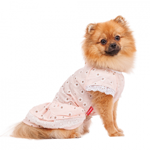 Платье для собак с ромашками S розовый (девочка)