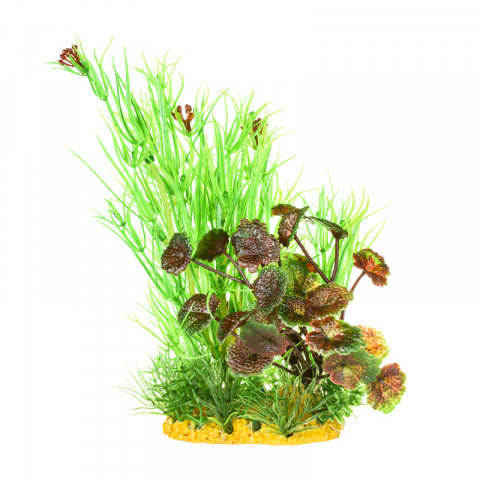 Растение композиция салатово-красное 15см