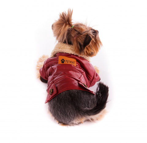 Куртка из кожзама для собак XS бордовый (унисекс) 2