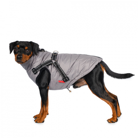 Куртка со шлейкой для собак XL серый (унисекс)