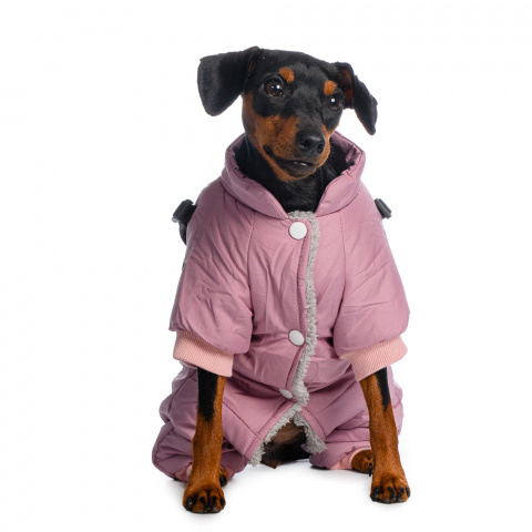 Комбинезон для собак со шлейкой фиолетовый девочка 1