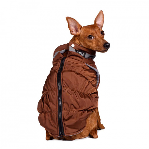 Куртка для собак на молнии коричневая французский бульдог 2