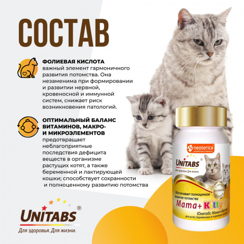Витаминно-минеральный комплекс для нормализации обмена веществ у котят, беременных и кормящих кошек, 120 таблеток 4