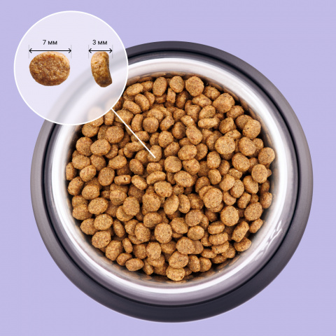 Functional Nutrition Sterilized Корм для стерилизованных кошек старше 1 года, с ягненком, 8 кг 2