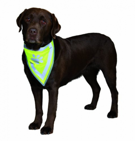 Бандана для собак всех пород со светоотражающим рисунком 62х33x2,5 см