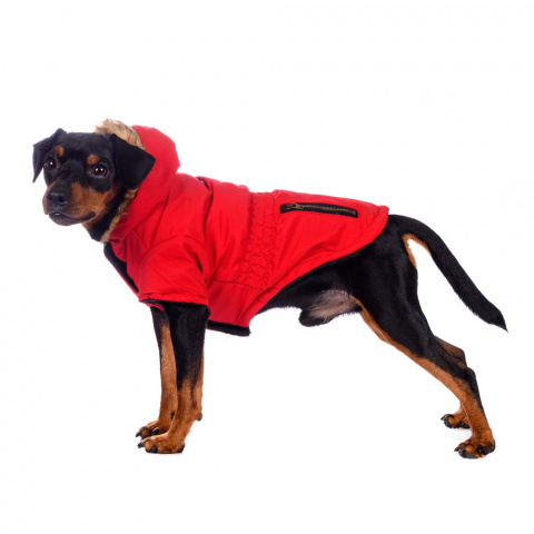 Куртка приталенная с меховым капюшоном для собак XS красный (унисекс) 5