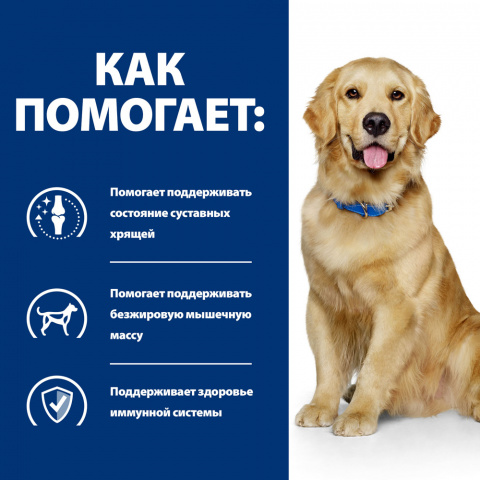 Prescription Diet j/d Сухой диетический корм для собак, способствующий поддержанию здоровья и подвижности суставов, 12 кг 3