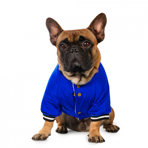 Куртка для собак Look S голубой (унисекс) 2