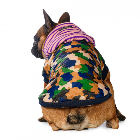 Куртка с капюшоном для собак XS зеленый (унисекс) 2