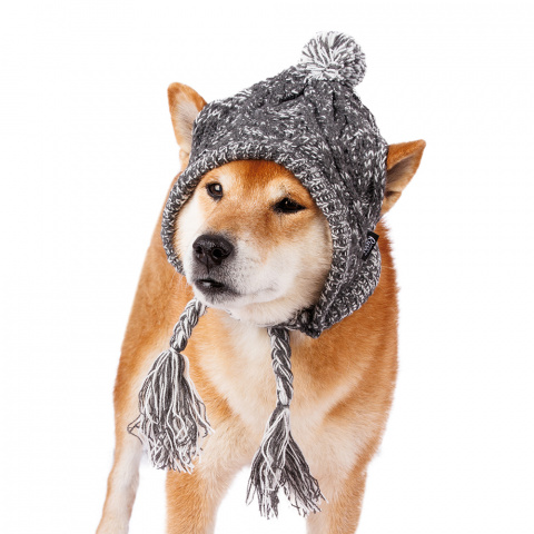 Шапки для собаки - продажа модных вязаных шапок в интернет - магазине