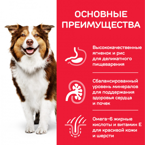 Science Plan Сухой корм для пожилых собак (старше 7 лет) средних пород для поддержания активности и здоровья желудочно-кишечного тракта, с ягненком и рисом, 12 кг 4