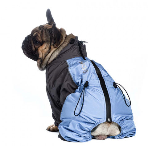 Комбинезон для собак средних пород теплый Французский бульдог мальчик темно-серый/синий горизонт 40x50x68 см 1