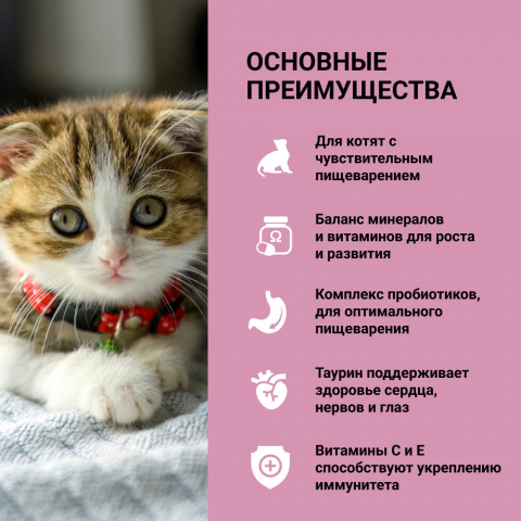 Kitten Delicate Корм сухой для котят с чувствительным пищеварением, с  индейкой, 400 гр., цены, купить в интернет-магазине Четыре Лапы с быстрой  доставкой