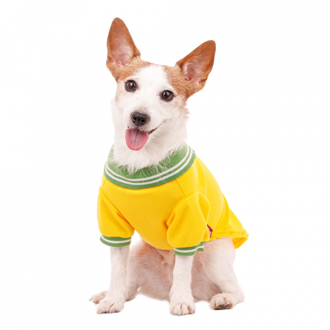 Футболка-поло для собак M желтый (унисекс) 1