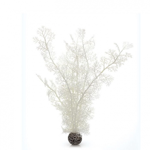 Растение Морской веер (горгонария) XL белый