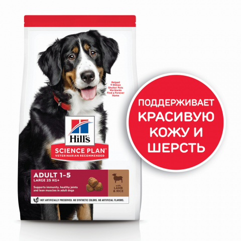 Science Plan Сухой корм для взрослых собак крупных пород для поддержания здоровья суставов и мышечной массы, с ягненком и рисом, 12 кг 3