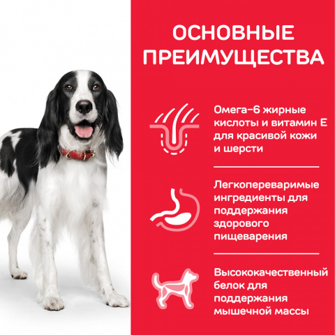 Science Plan Сухой корм для взрослых собак средних пород для поддержания иммунитета, с курицей, 2,5 кг 3