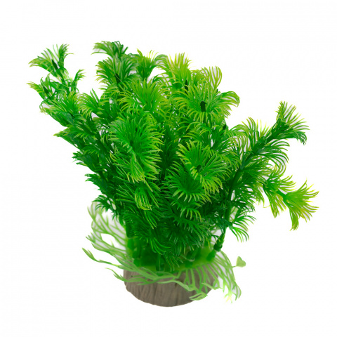 Растение зеленое 10*10*12см 092-039B 1