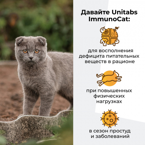 Витаминно-минеральный комплекс для восстановления иммунитета у кошек, 120 таблеток 3