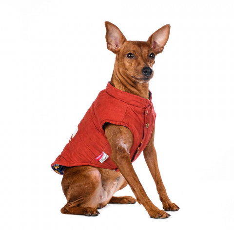 Куртка двухсторонняя для собак XL оранжевый (унисекс) 9