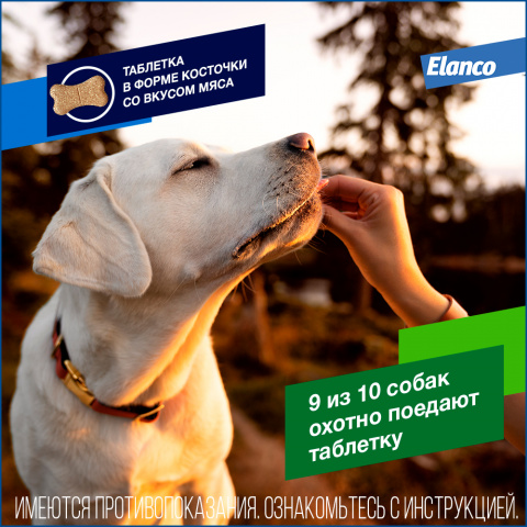 Дронтал плюс XL, Антигельминтный препарат для собак до 70 кг, 2 таблетки 3