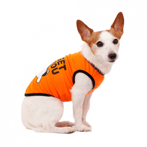 Футболка для собак с хаски M оранжевый (унисекс)