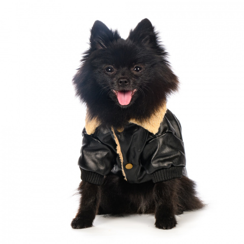 Куртка из кожзама для собак XL черный (унисекс) 1