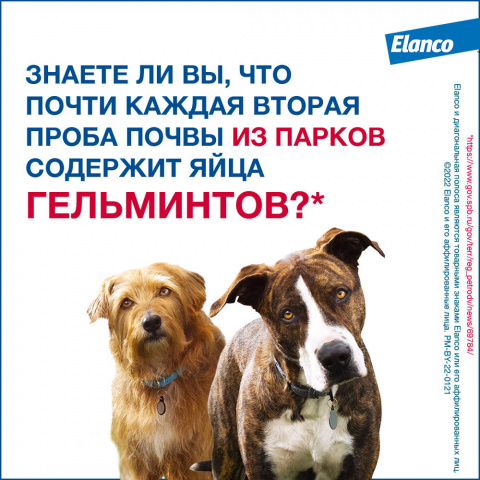 Мильбемакс Таблетки от гельминтов для собак крупных пород весом 5-50 кг, 2 таблетки 3